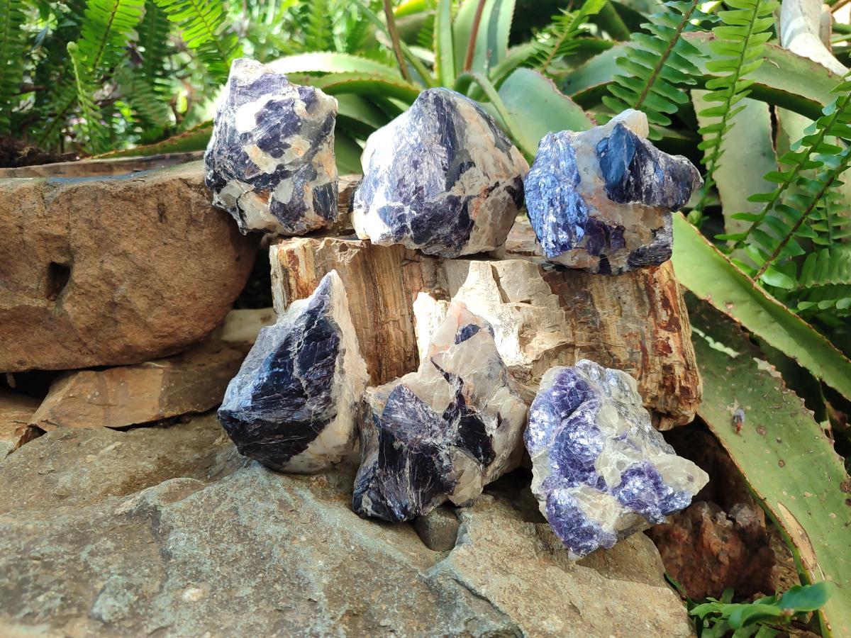 Polished One Side Silver Leaf Lepidolite Slices x 6 From Zimbabwe