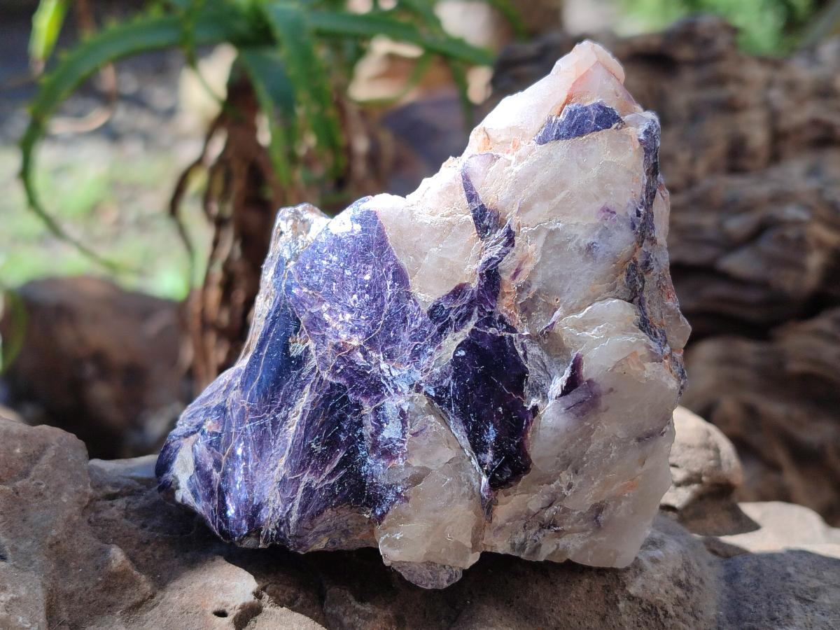 Polished One Side Silver Leaf Lepidolite Slices x 6 From Zimbabwe