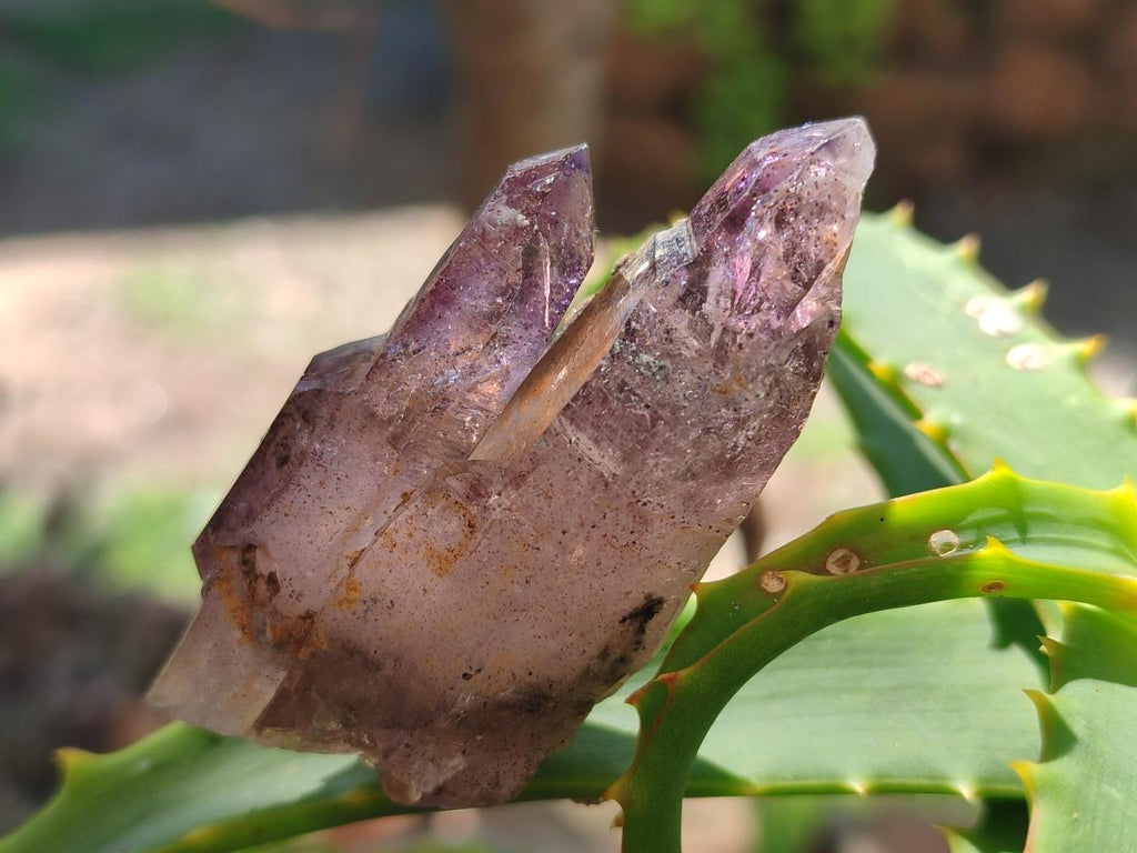 Natural Smokey Amethyst Window Crystals x 15 From Chiredzi, Zimbabwe