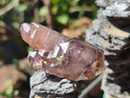 Natural Smokey Amethyst Window Crystals x 15 From Chiredzi, Zimbabwe