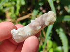 Natural Drusy Fairy Spirit Quartz Single Crystals x 75 From Boekenhouthoek, South Africa