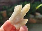 Natural Drusy Fairy Spirit Quartz Single Crystals x 75 From Boekenhouthoek, South Africa