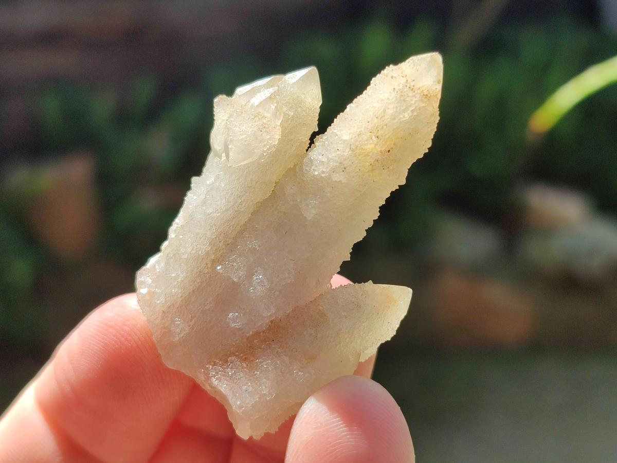 Natural Drusy Fairy Spirit Quartz Single Crystals x 75 From Boekenhouthoek, South Africa