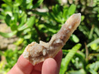 Natural Drusy Fairy Spirit Quartz Single Crystals x 75 From Boekenhouthoek, South Africa
