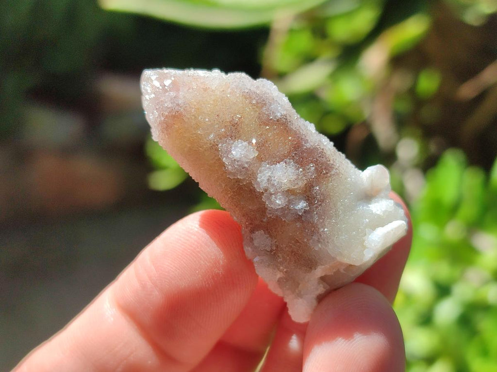 Natural Drusy Fairy Spirit Quartz Single Crystals x 75 From Boekenhouthoek, South Africa