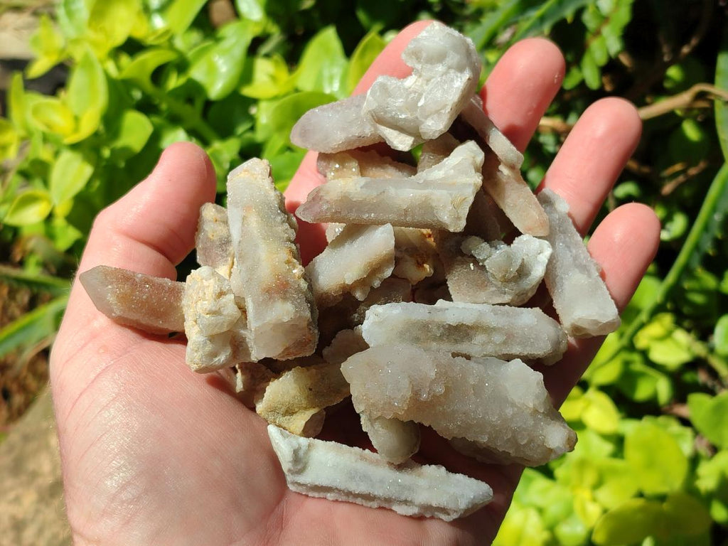 Natural Drusy Fairy Spirit Quartz Single Crystals x 75 From Boekenhouthoek, South Africa
