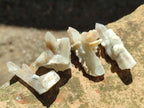 Natural Drusy Fairy Spirit Quartz Single Crystals x 75 From Boekenhouthoek, South Africa
