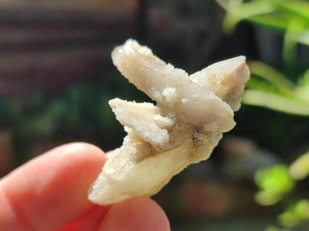 Natural Drusy Fairy Spirit Quartz Single Crystals x 75 From Boekenhouthoek, South Africa