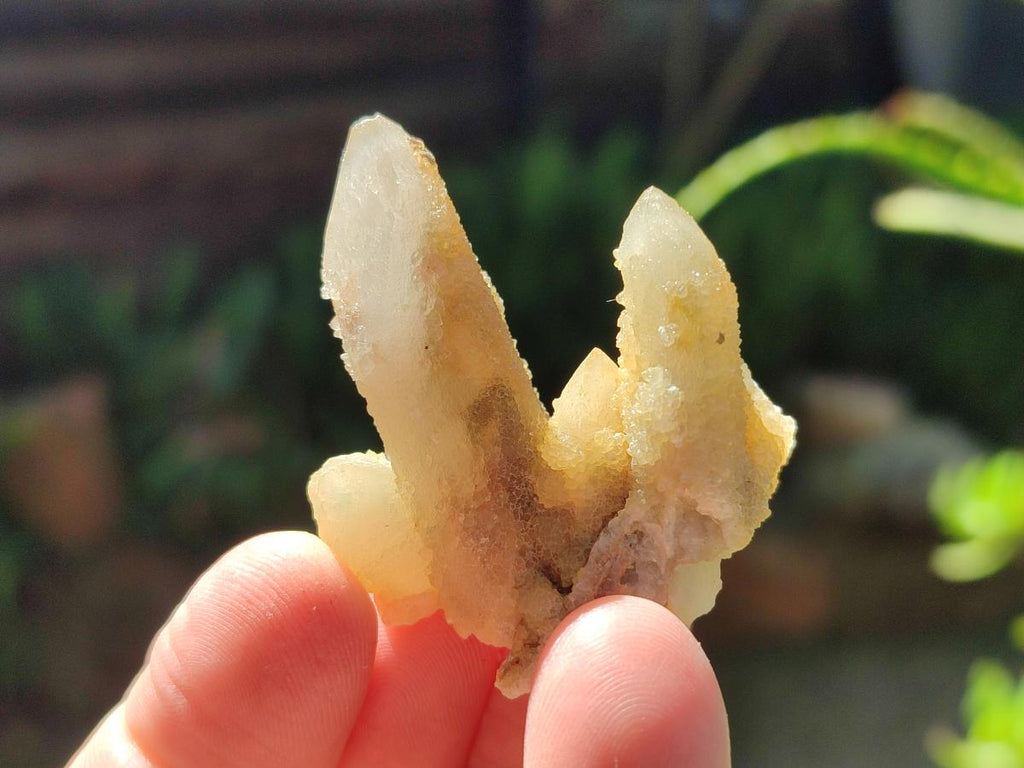 Natural Drusy Fairy Spirit Quartz Single Crystals x 75 From Boekenhouthoek, South Africa