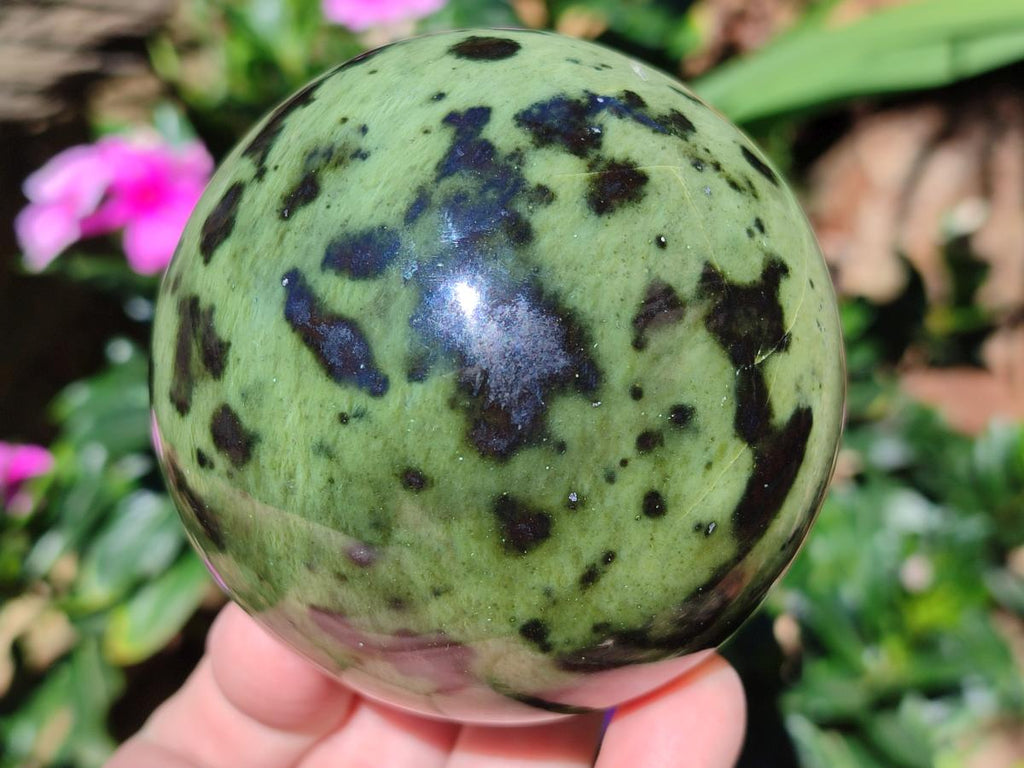 Polished Large Leopard Stone Spheres x 3 From Zimbabwe
