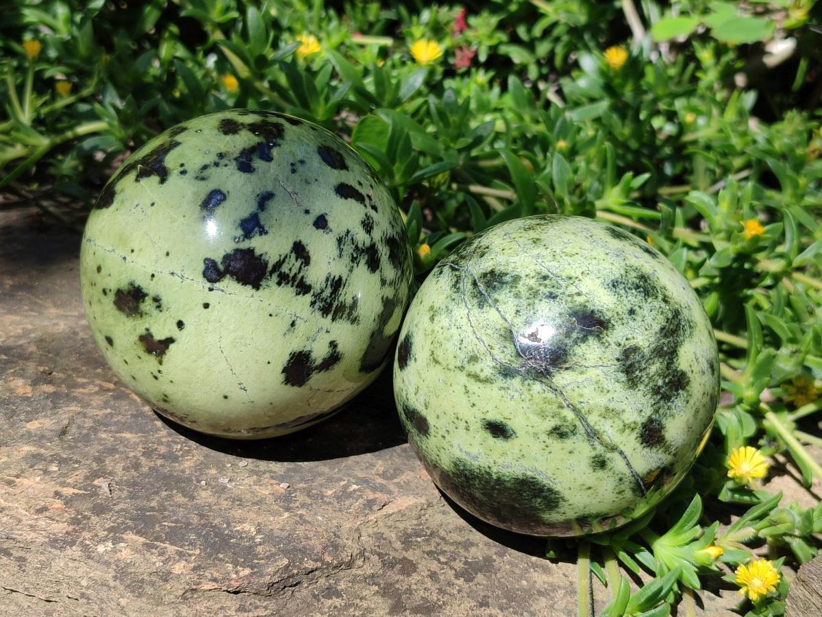Polished Large Leopard Stone Spheres x 3 From Zimbabwe