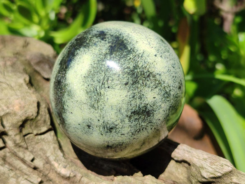 Polished Large Leopard Stone Spheres x 3 From Zimbabwe