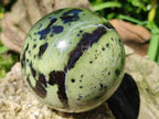 Polished Large Leopard Stone Spheres x 3 From Zimbabwe