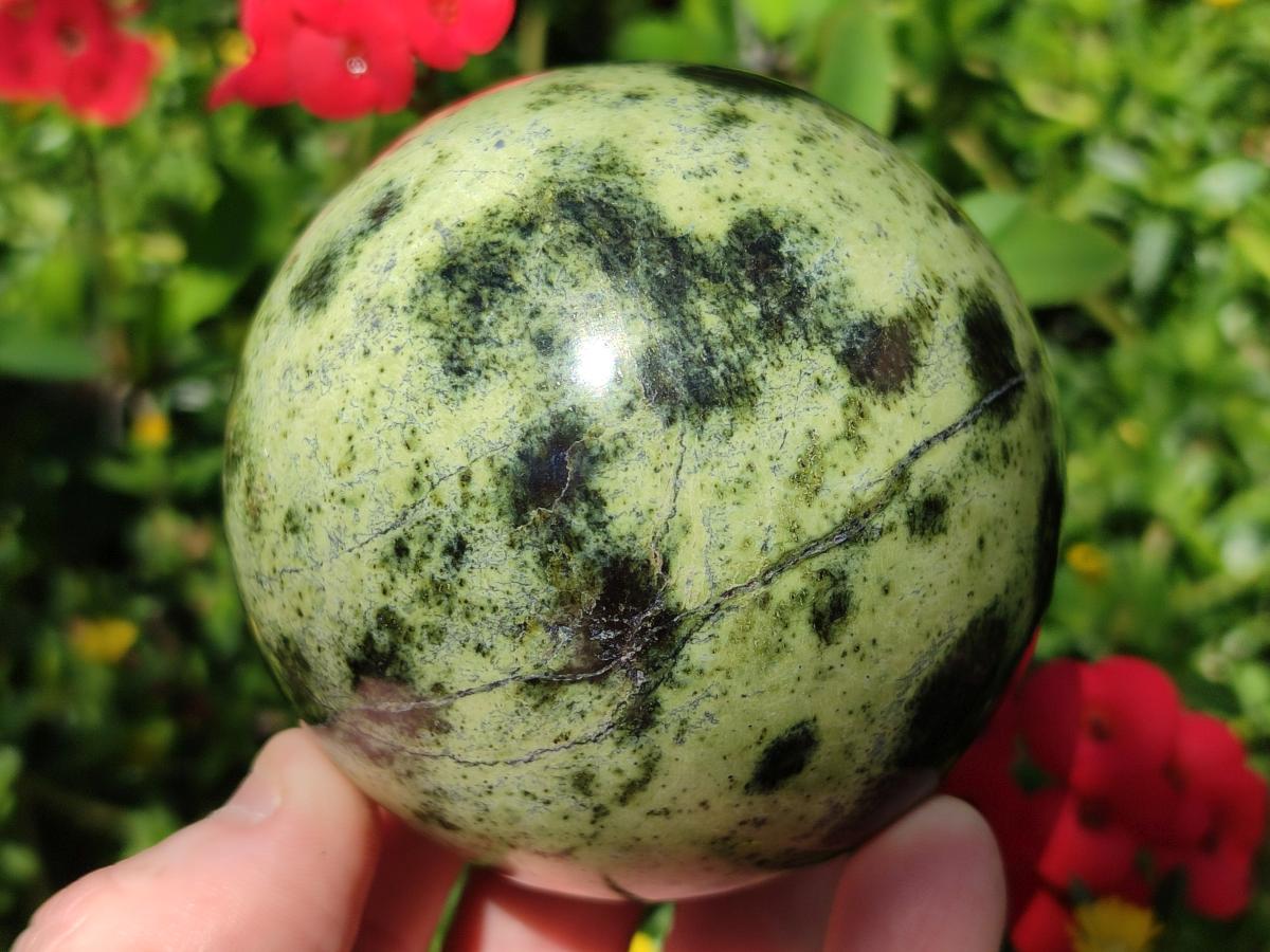 Polished Large Leopard Stone Spheres x 3 From Zimbabwe