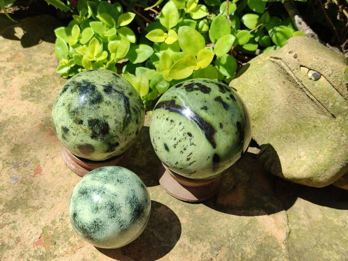 Polished Large Leopard Stone Spheres x 3 From Zimbabwe