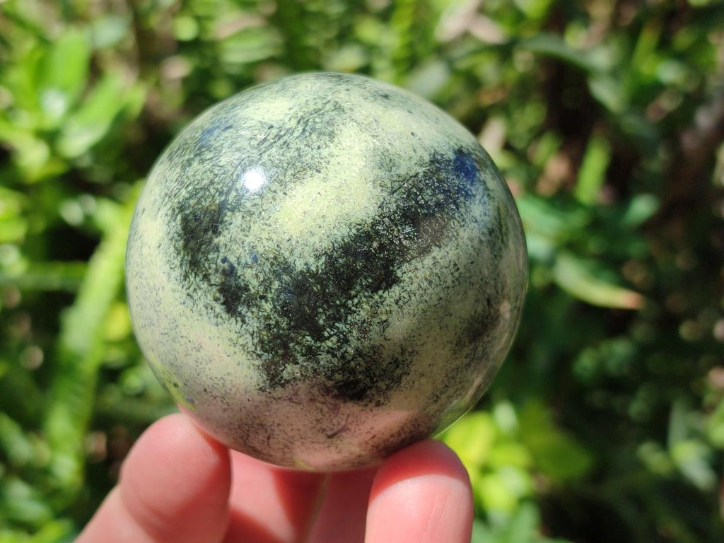 Polished Large Leopard Stone Spheres x 3 From Zimbabwe