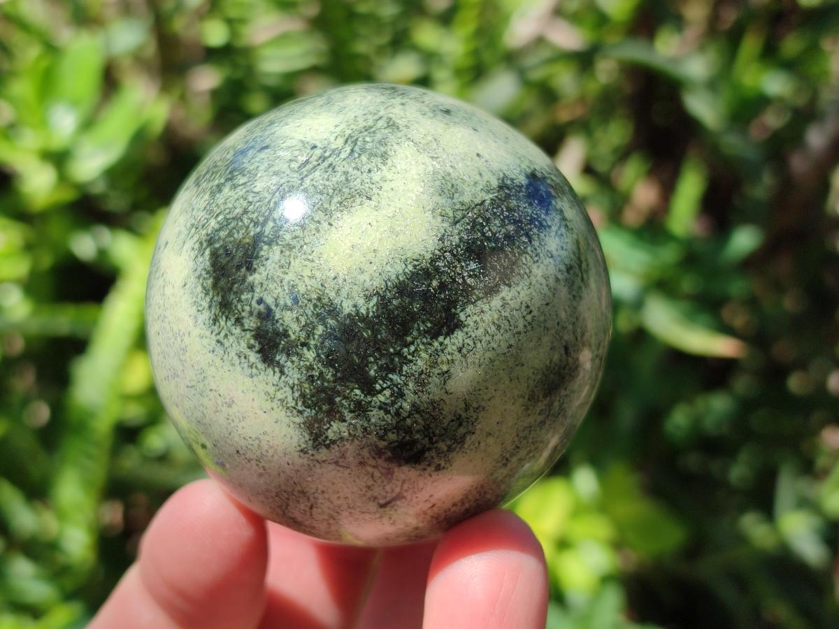 Polished Large Leopard Stone Spheres x 3 From Zimbabwe