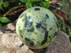 Polished Large Leopard Stone Spheres x 3 From Zimbabwe