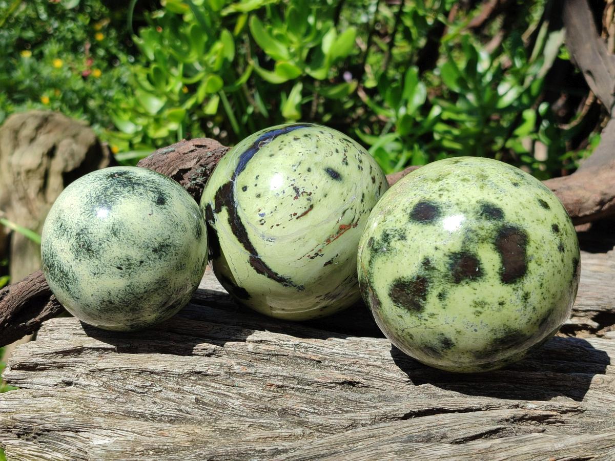 Polished Large Leopard Stone Spheres x 3 From Zimbabwe