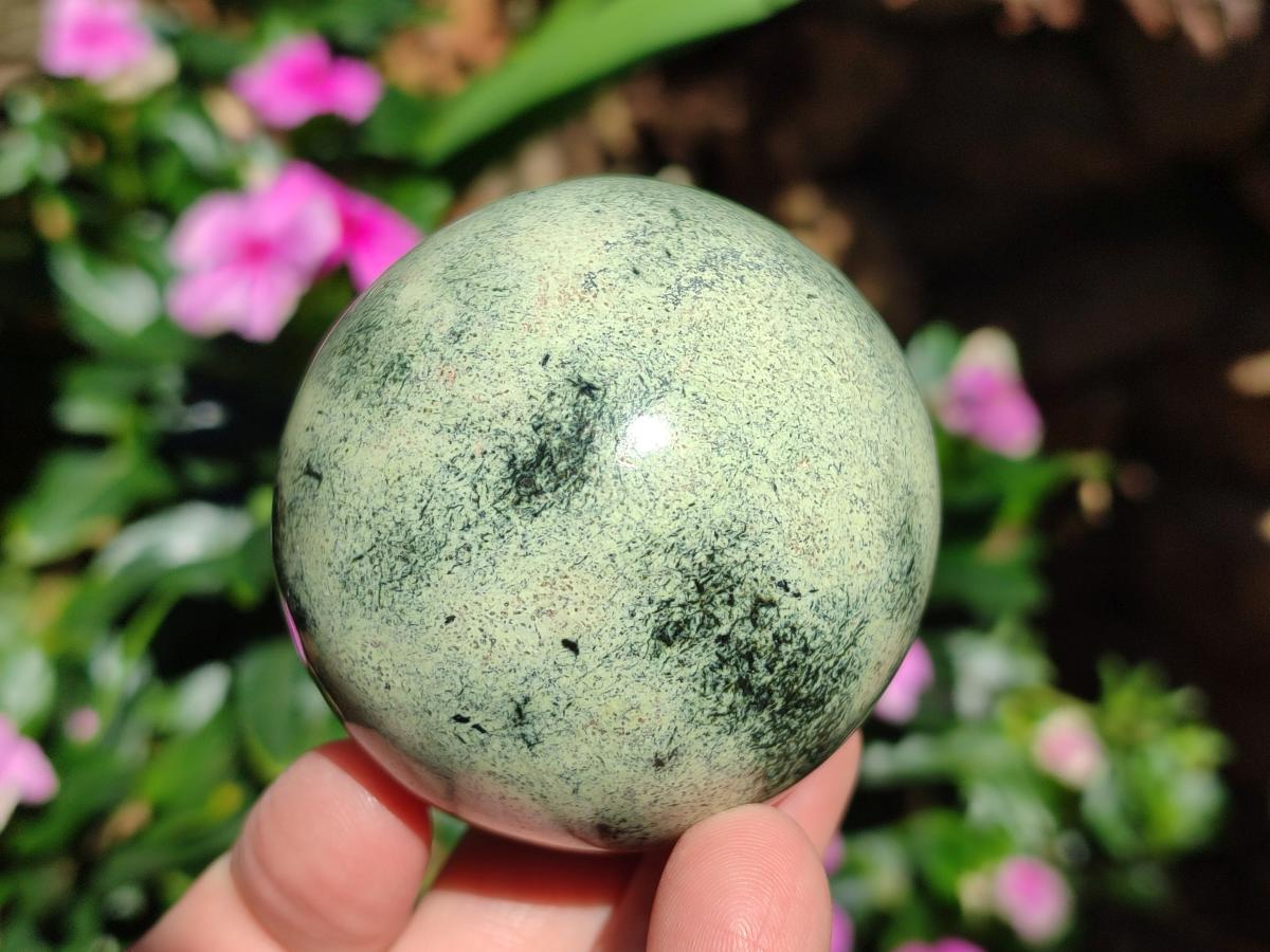 Polished Large Leopard Stone Spheres x 3 From Zimbabwe