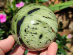 Polished Large Leopard Stone Spheres x 3 From Zimbabwe
