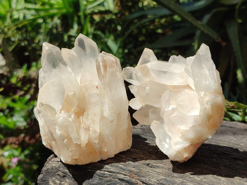 Natural Malagasy Quartz Crystal Clusters x 6 From Madagascar