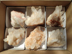 Natural Malagasy Quartz Crystal Clusters x 6 From Madagascar