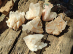Natural Malagasy Quartz Crystal Clusters x 6 From Madagascar