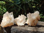 Natural Malagasy Quartz Crystal Clusters x 6 From Madagascar