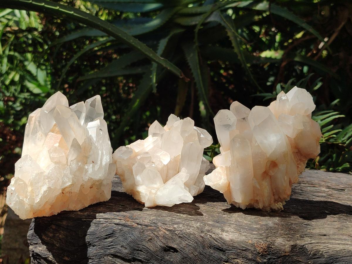 Natural Malagasy Quartz Crystal Clusters x 6 From Madagascar