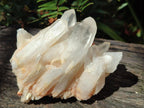 Natural Malagasy Quartz Crystal Clusters x 6 From Madagascar