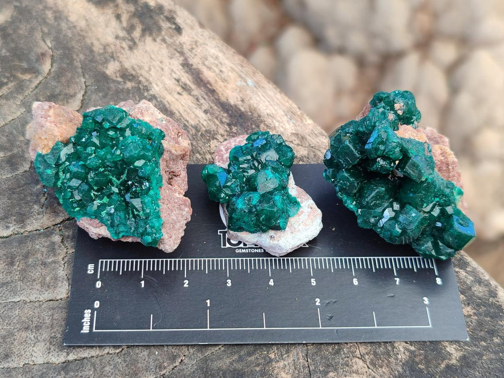 Natural Dioptase Specimens on Dolomite Matrix x 20 From Tantara Mine, Congo