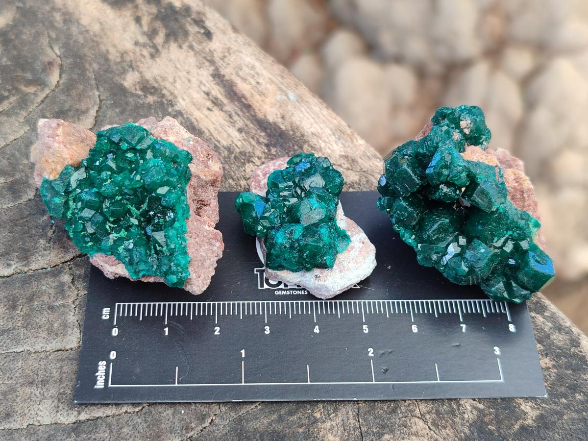 Natural Dioptase Specimens on Dolomite Matrix x 20 From Tantara Mine, Congo