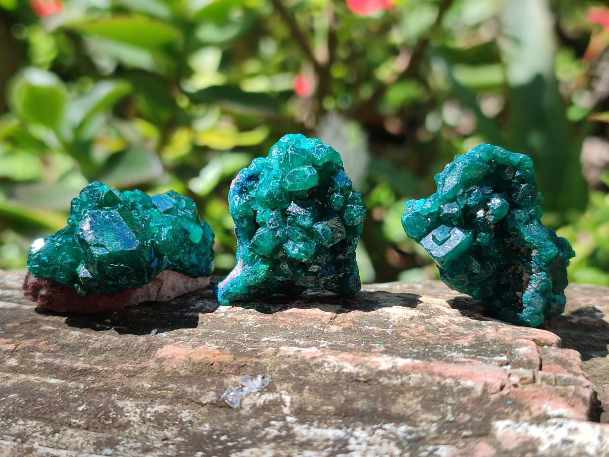 Natural Dioptase Specimens on Dolomite Matrix x 20 From Tantara Mine, Congo