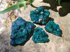 Natural Dioptase Specimens on Dolomite Matrix x 20 From Tantara Mine, Congo