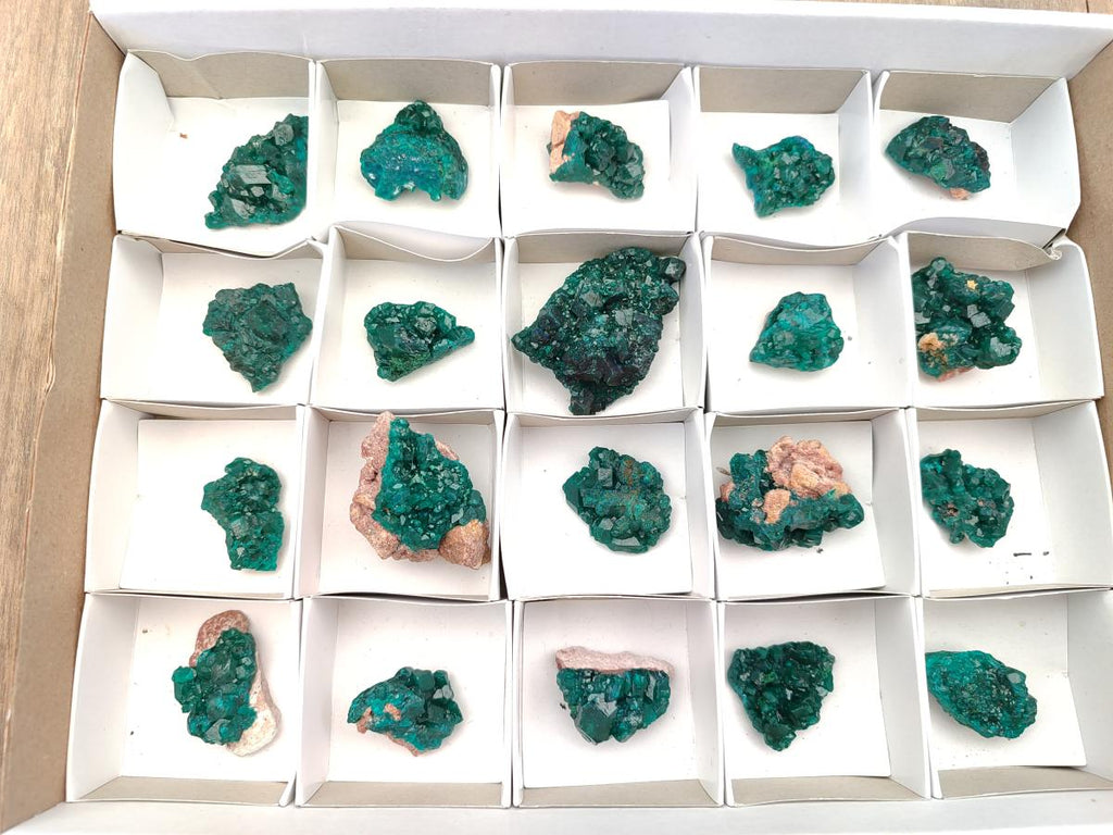 Natural Dioptase Specimens on Dolomite Matrix x 20 From Tantara Mine, Congo