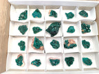 Natural Dioptase Specimens on Dolomite Matrix x 20 From Tantara Mine, Congo