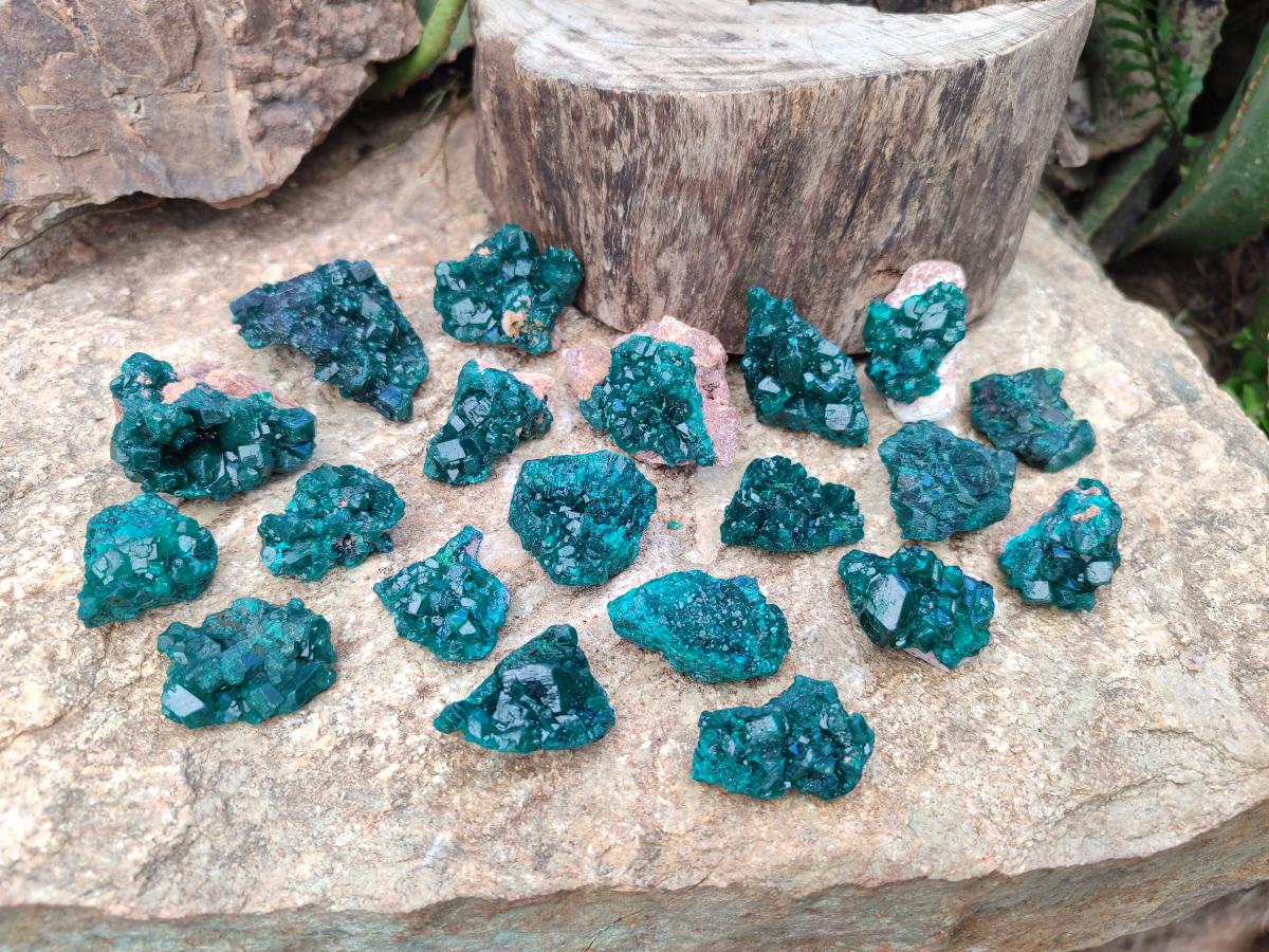 Natural Dioptase Specimens on Dolomite Matrix x 20 From Tantara Mine, Congo