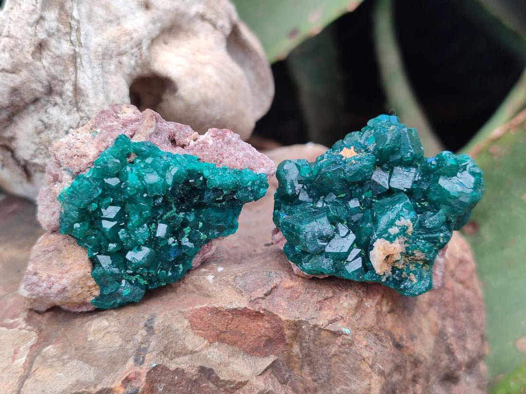 Natural Dioptase Specimens on Dolomite Matrix x 20 From Tantara Mine, Congo