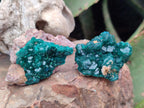 Natural Dioptase Specimens on Dolomite Matrix x 20 From Tantara Mine, Congo