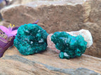 Natural Dioptase Specimens on Dolomite Matrix x 20 From Tantara Mine, Congo