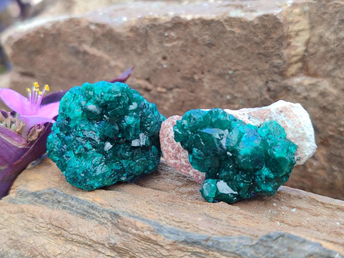 Natural Dioptase Specimens on Dolomite Matrix x 20 From Tantara Mine, Congo
