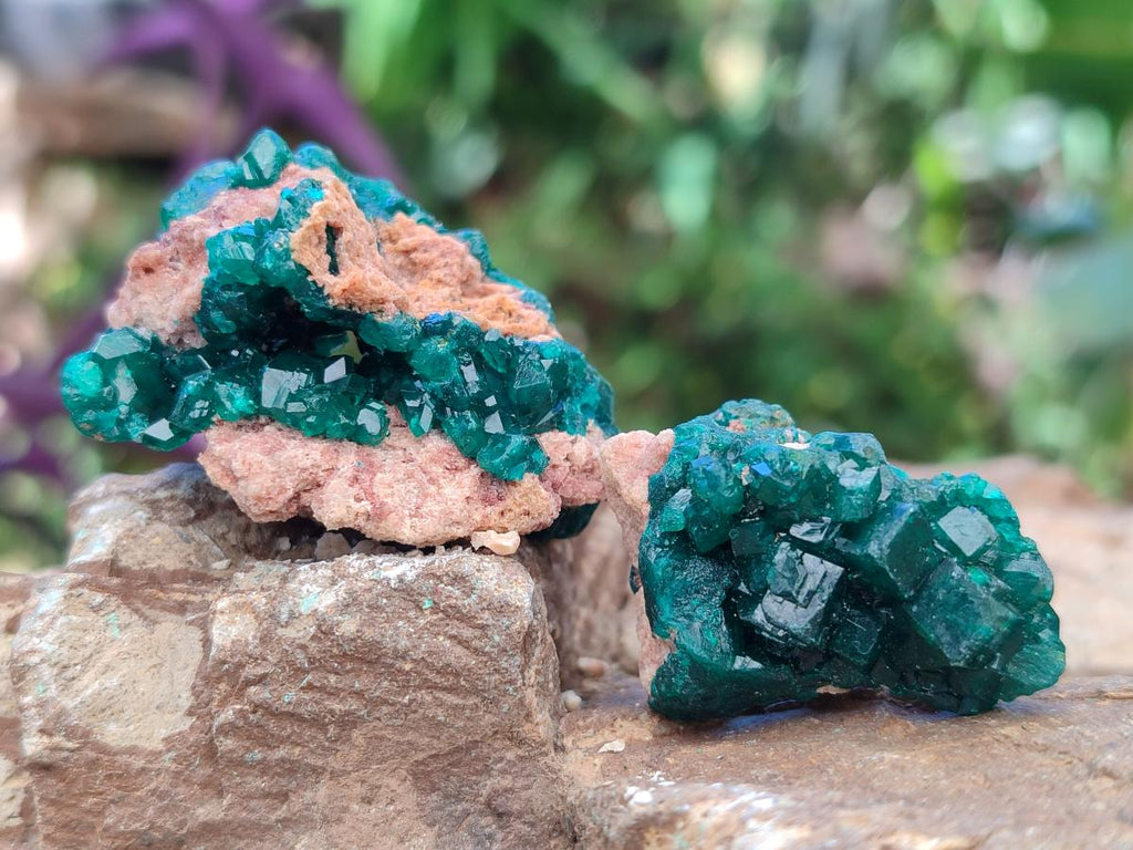 Natural Dioptase Specimens on Dolomite Matrix x 20 From Tantara Mine, Congo