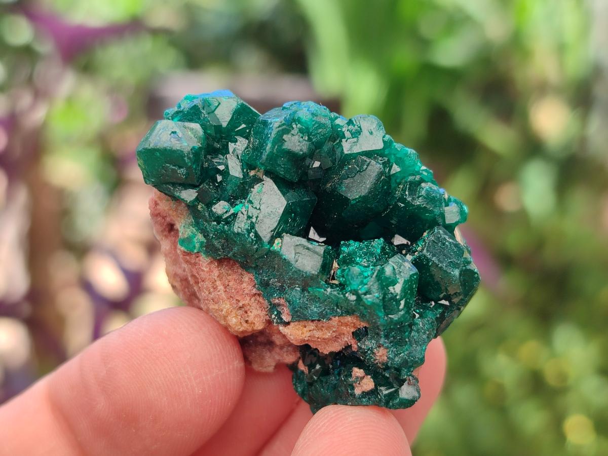 Natural Dioptase Specimens on Dolomite Matrix x 20 From Tantara Mine, Congo