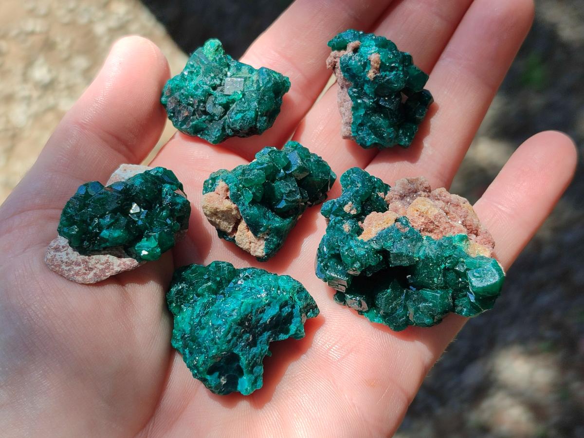 Natural Dioptase Specimens on Dolomite Matrix x 20 From Tantara Mine, Congo