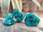 Natural Dioptase Specimens on Dolomite Matrix x 20 From Tantara Mine, Congo