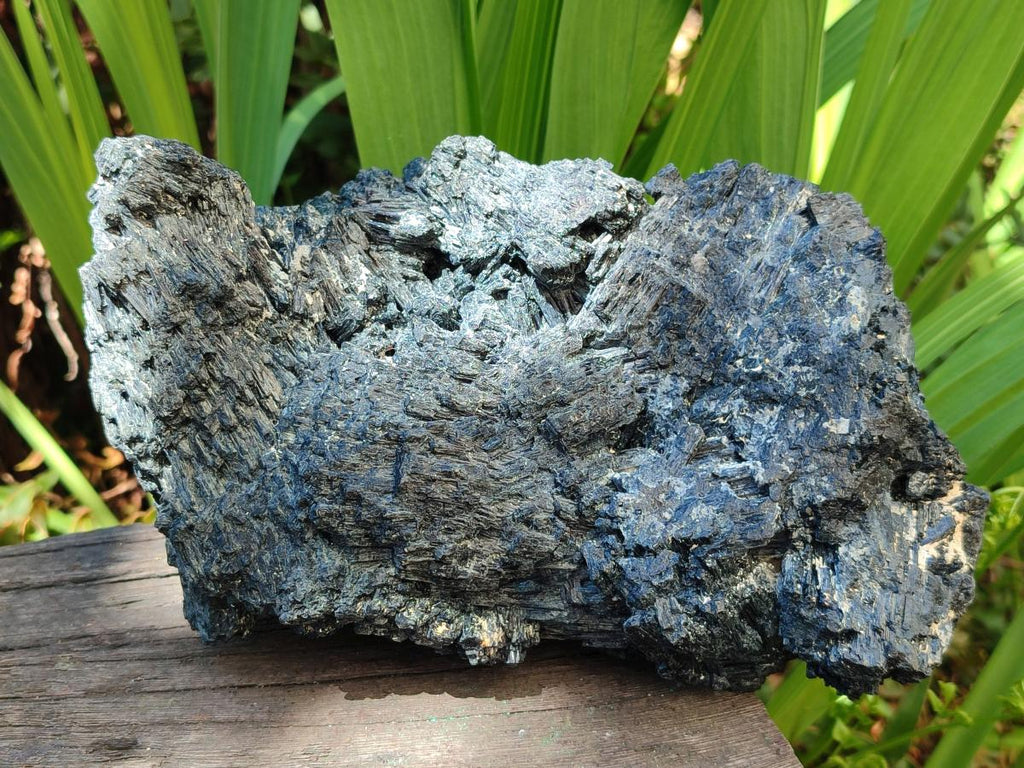 Natural XL Schorl Black Tourmaline Striated Crystalline Floater Specimen x 1 From Erongo, Namibia