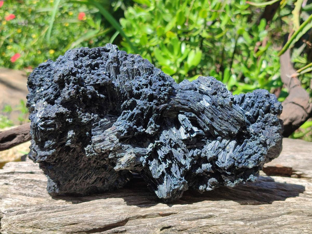 Natural XL Schorl Black Tourmaline Striated Crystalline Floater Specimen x 1 From Erongo, Namibia