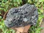 Natural XL Schorl Black Tourmaline Striated Crystalline Floater Specimen x 1 From Erongo, Namibia