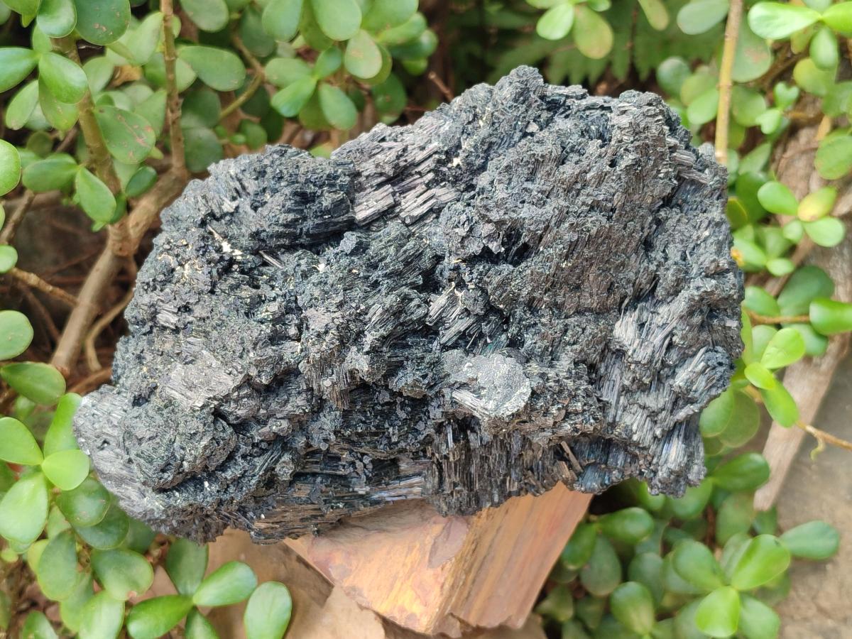 Natural XL Schorl Black Tourmaline Striated Crystalline Floater Specimen x 1 From Erongo, Namibia